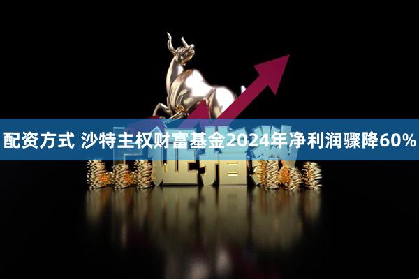 配资方式 沙特主权财富基金2024年净利润骤降60%