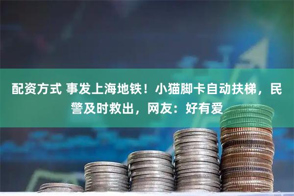 配资方式 事发上海地铁！小猫脚卡自动扶梯，民警及时救出，网友：好有爱